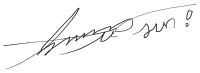 CEO signature
